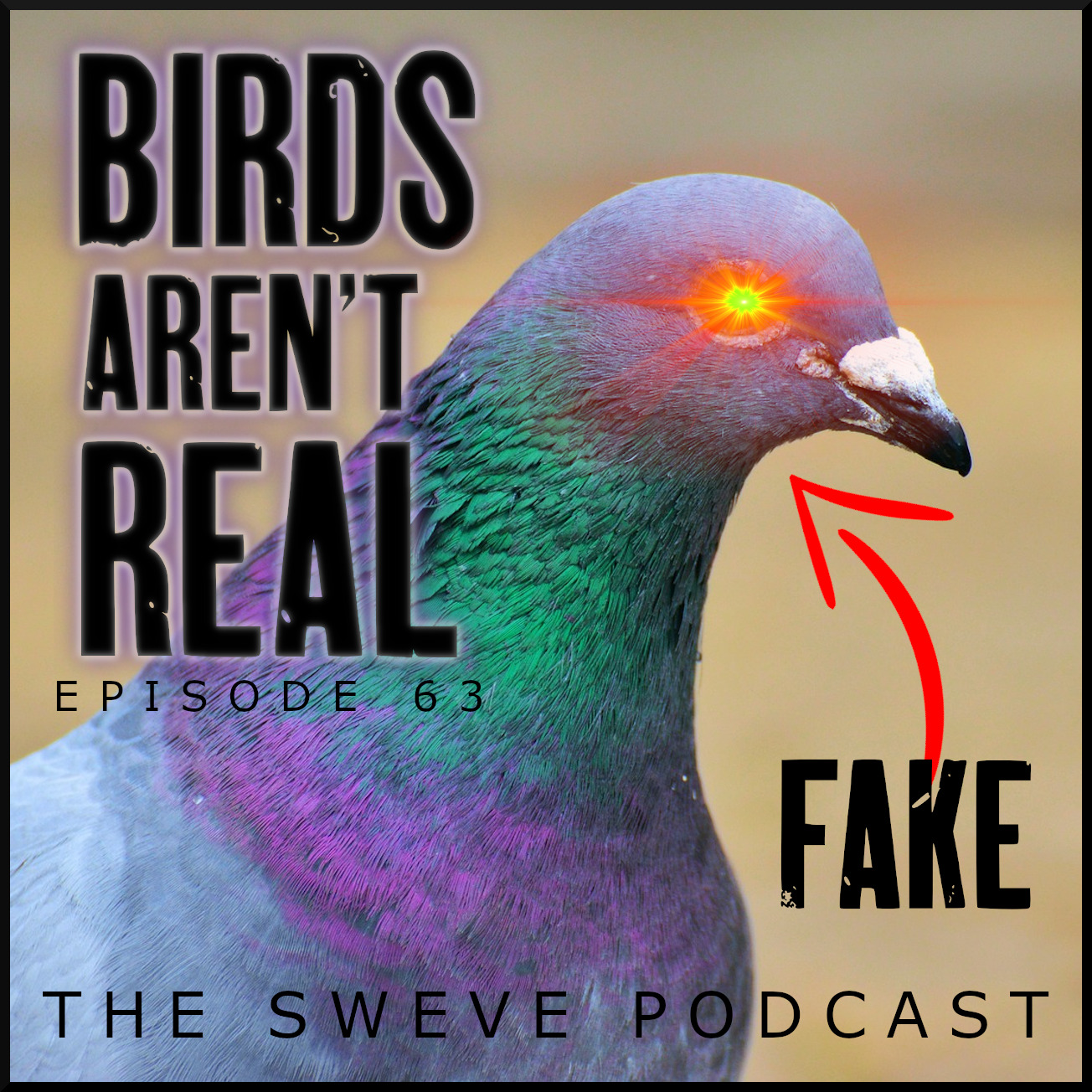 Birds Are Fake Conspiracy